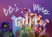 BBs Micros